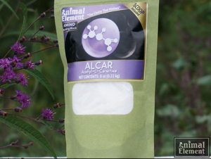 Alcar “Acetyl-L-Carnitine”