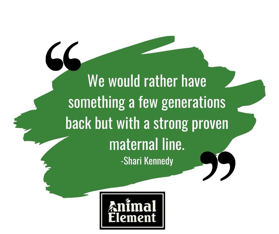 Quote over a green scribble background