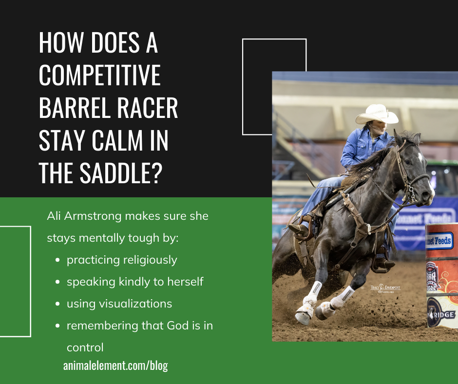 Woman in straw cowboy hat and blue shirt barrel races a dark colored horse, with tips on how to gain mental toughness next to the image.