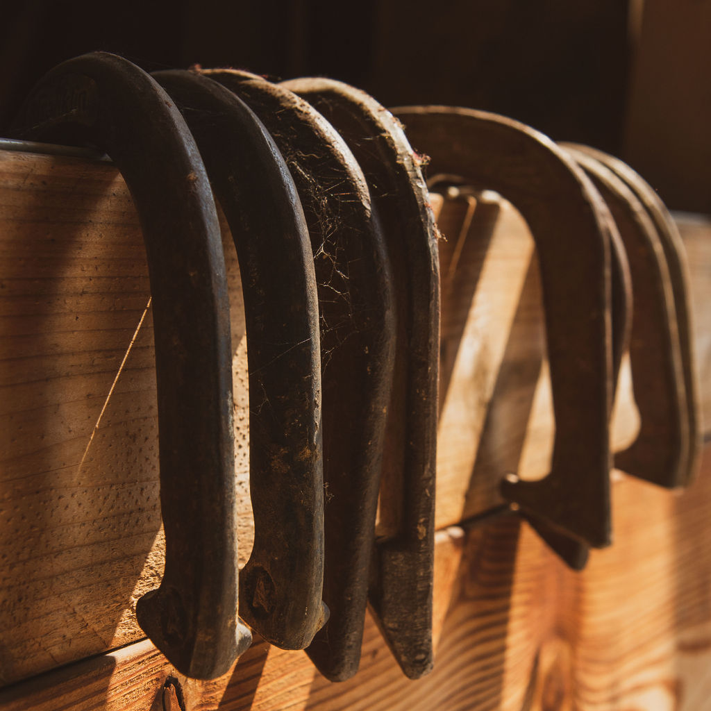 A row of horse shoes hanging off a fence