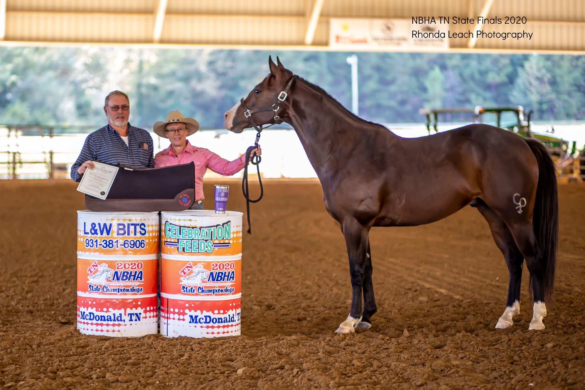 moscheras-are-believers-in-animal-element-horse-supplements