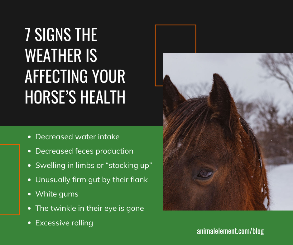 bullet-points-of-seven-signs-weather-changes-are-affecting-your-horses-health