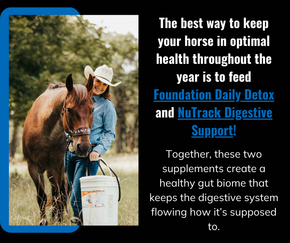 woman-in-cowboy-hat-standing-next-to-horse-holding-bucket-of-fdd-talking-about-weather-changes-affecting-horses