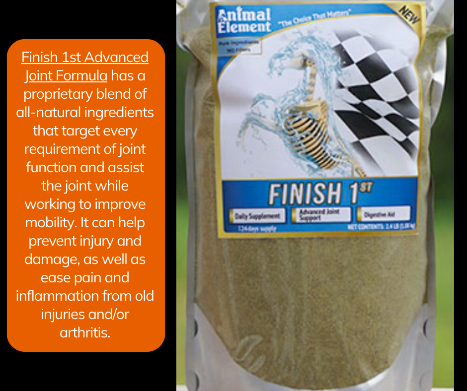 finished-first-advanced-joint-formula-supports-horse-knees