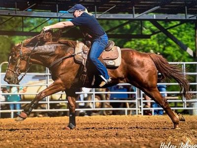 diane-moschera-on-pete-for-how-to-support-horse-knees