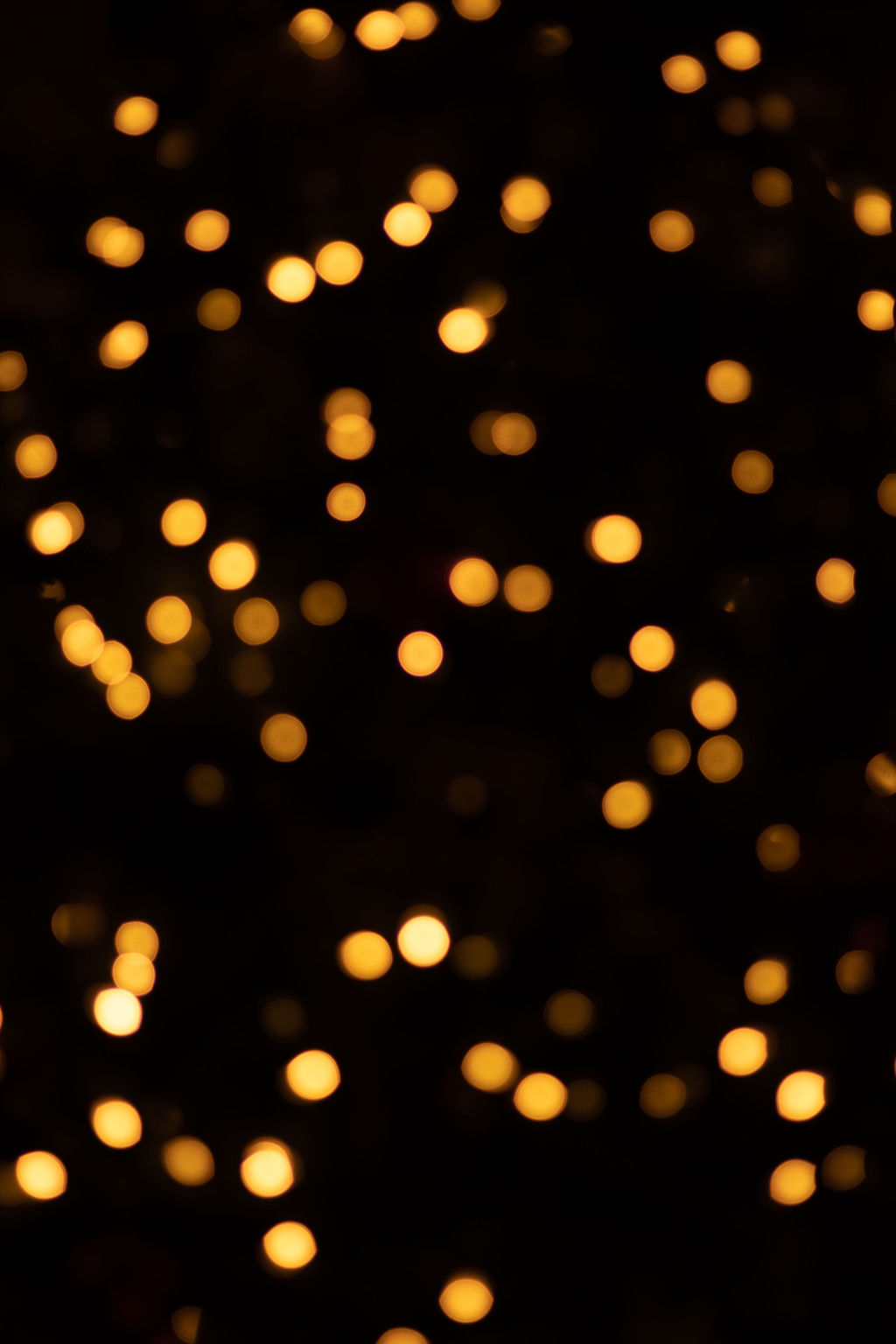 blurry-image-of-twinkle-lights-for-five-thoughtful-gifts-for-the-horse-lover