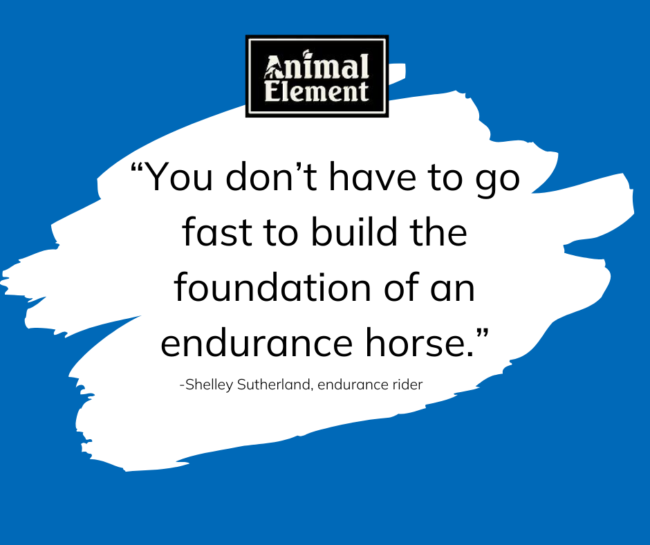 blue-background-with-black-text-over-white-blob-with-quote-from-shelley-sutherland