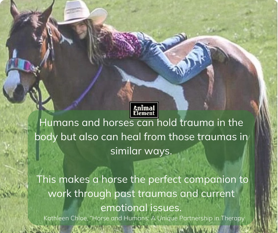 young-girl-in-white-cowboy-hat-laying-on-back-of-horse-emotional-regulation