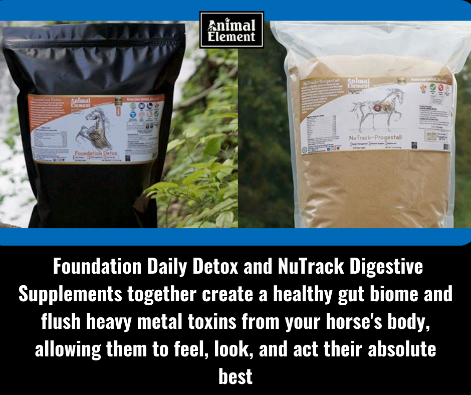 animal-element-products-to-help-detox-and-improve-gut-health