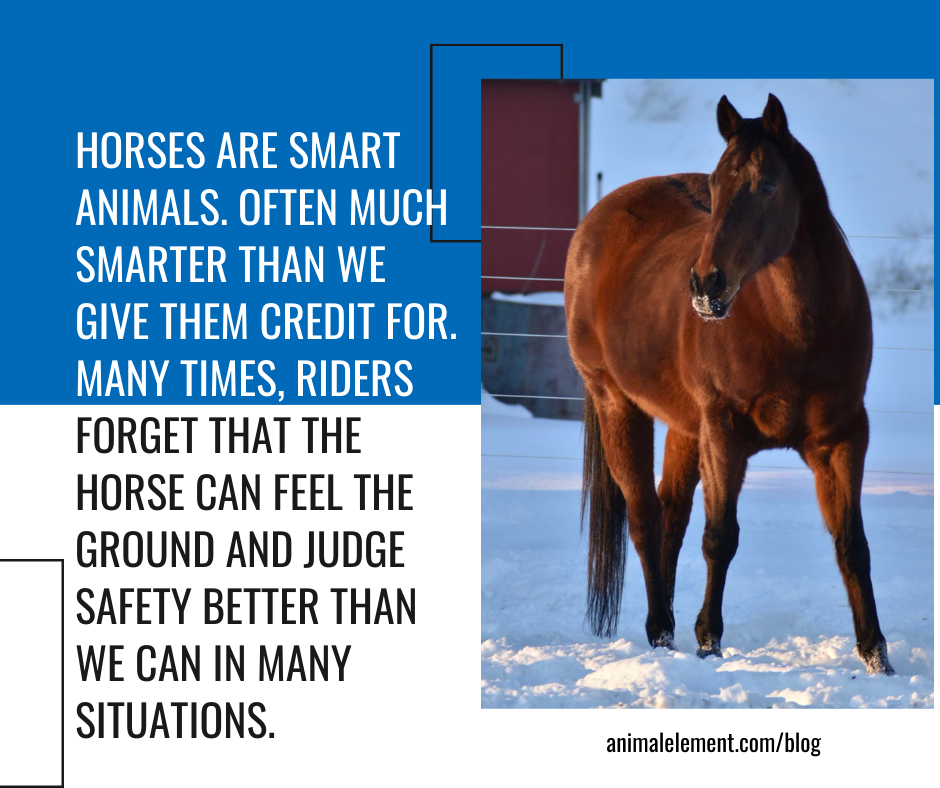 image-of-horse-standing-snow-with-quote-to-left-of-image-about-horses-finding-their-own-footing-when-riding-in-cold-weather