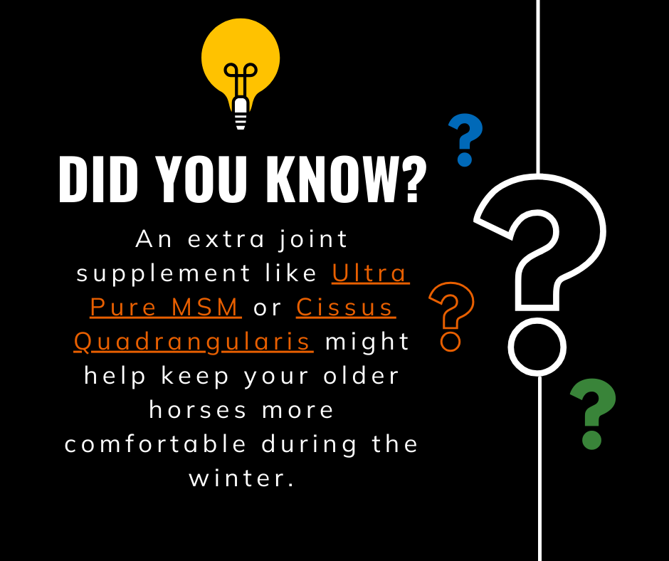 multi-colored-question-marks-over-black-background-with-information-about-joint-supplements