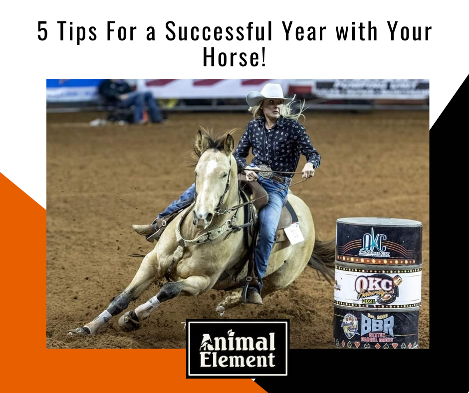title-of-blog-5-tips-for-a-successful-year-with-your-horse-with-image-of-woman-barrel-racing