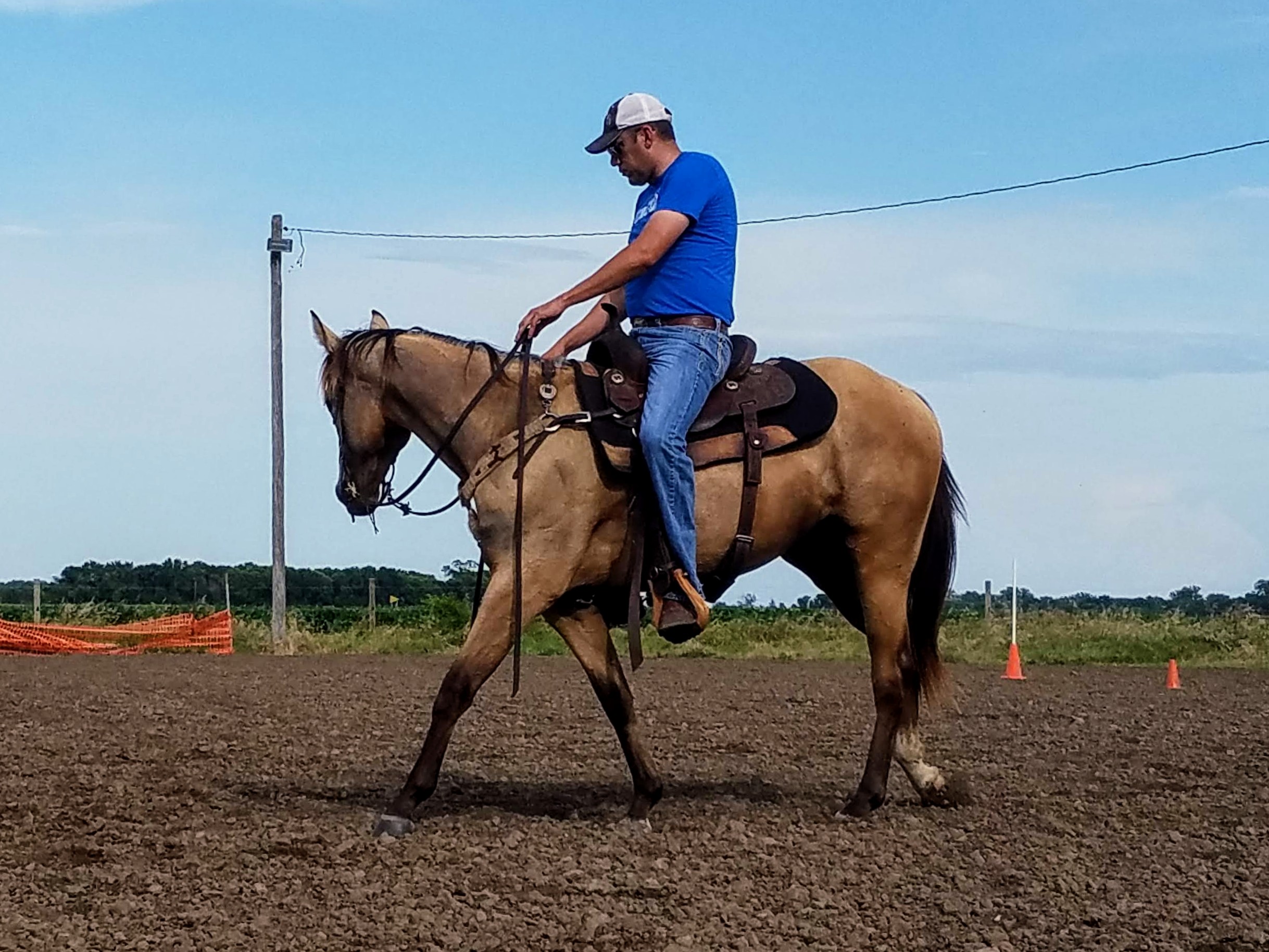 know-when-to-quit-training-your-horse
