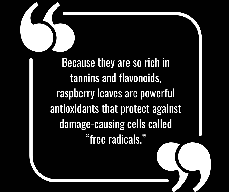black-and-white-quote-graphic