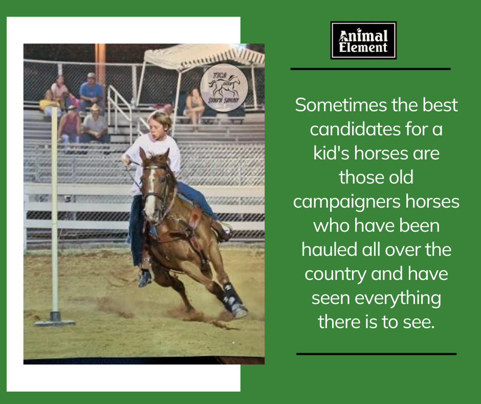 image-of-young-boy-pole-bending-with-text-from-the-blog-about-buying-a-kid's-horse