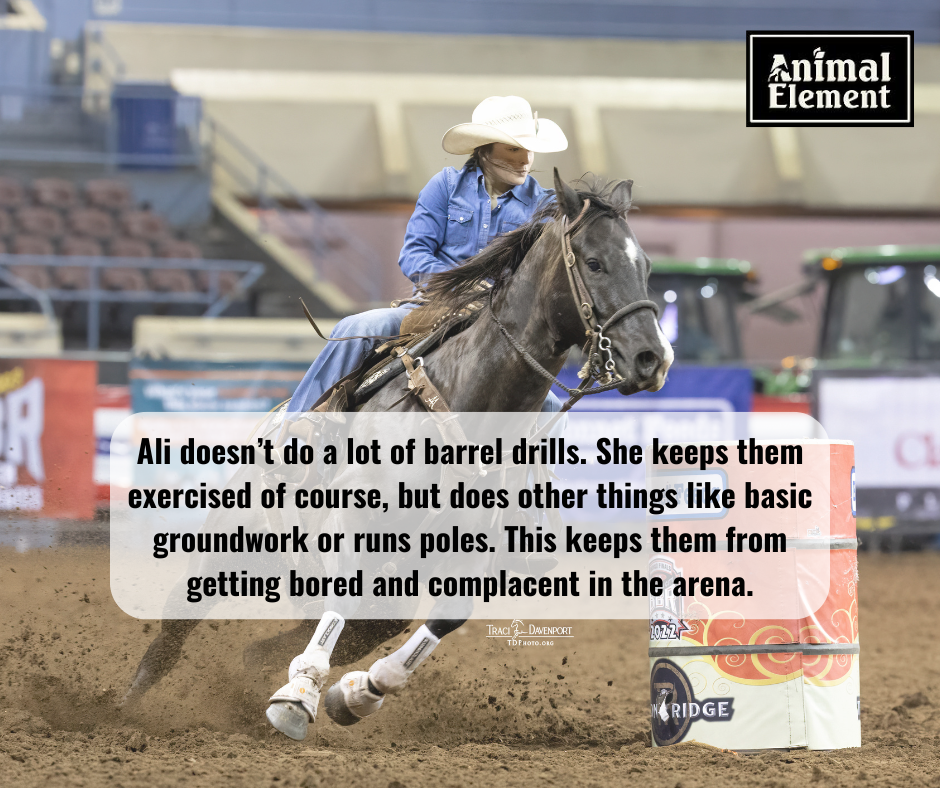 photo-of-ali-barrel-racing-on-black-horse