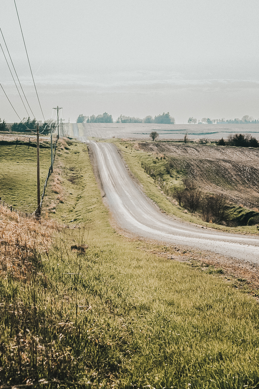 traveling-with-horses-tips