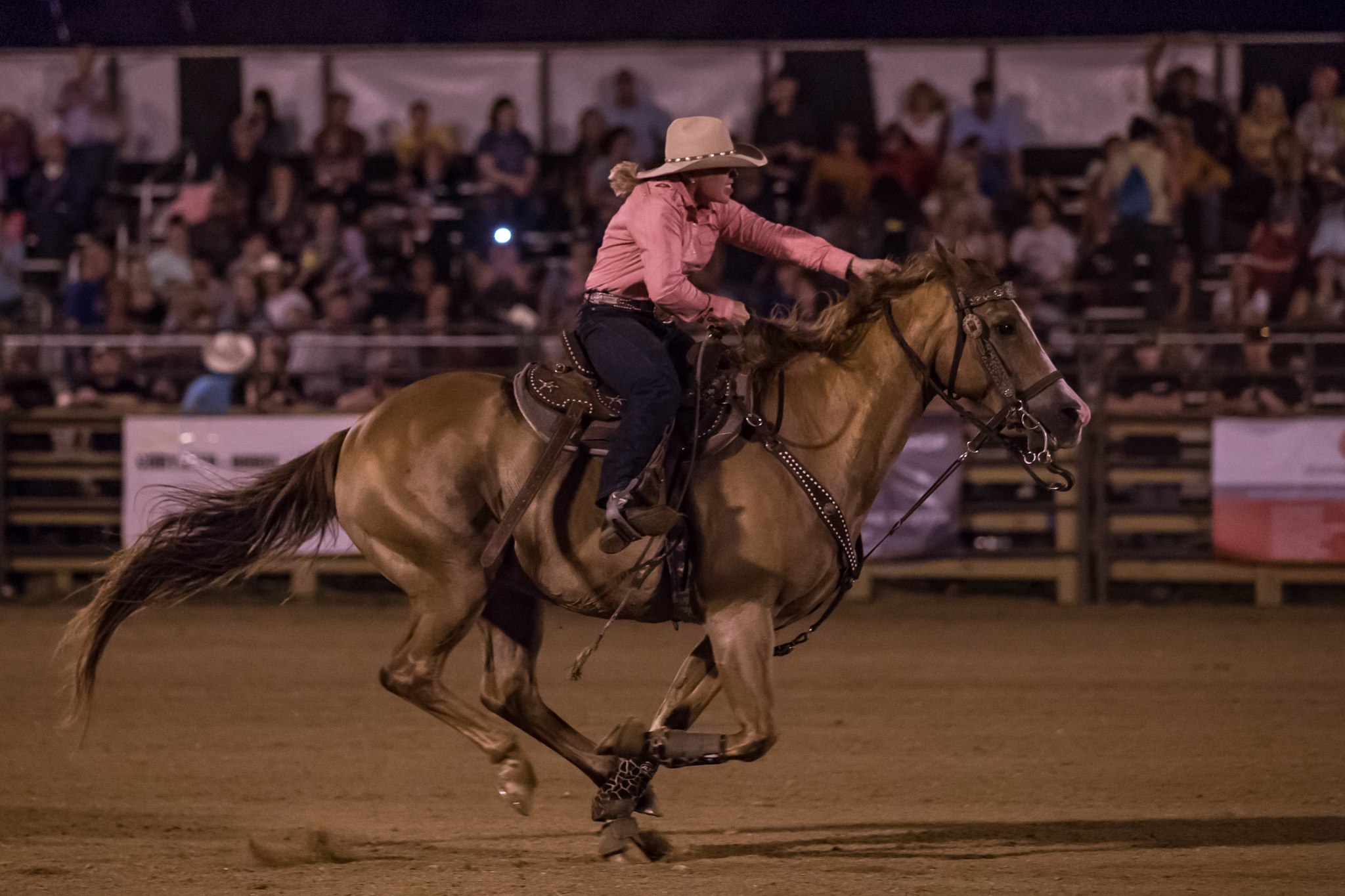 get-the-most-out-of-horse-supplements