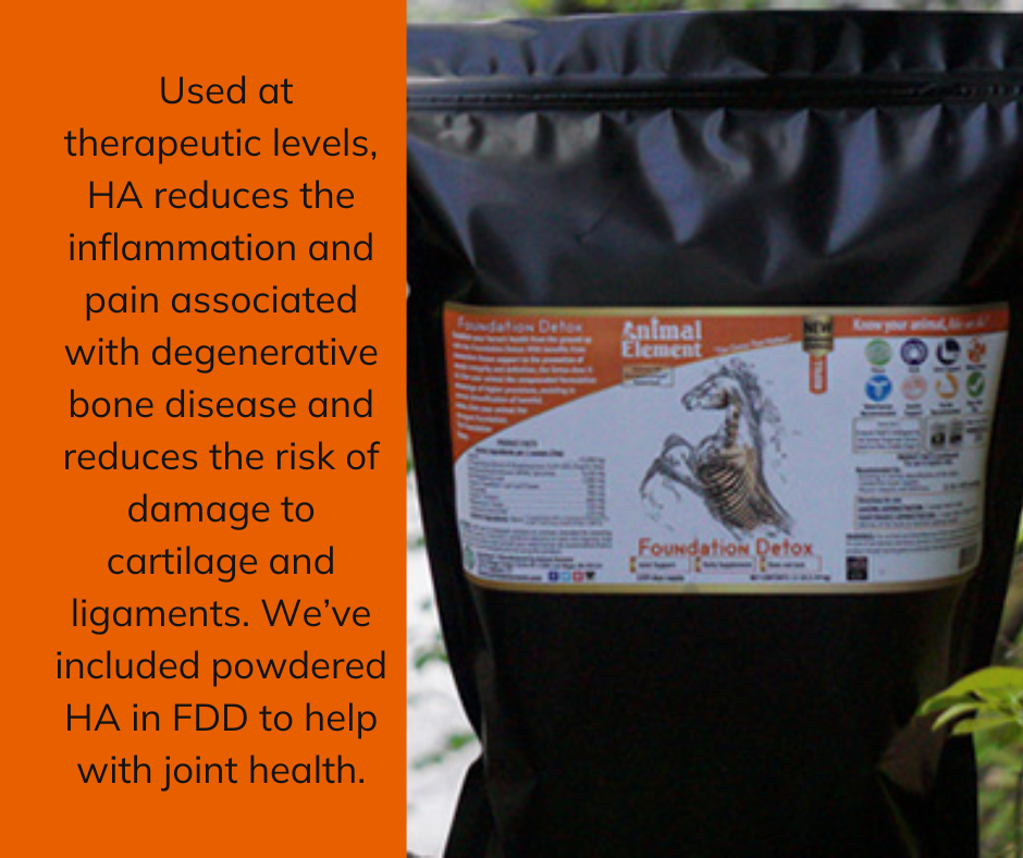 hyaluronic-acid-benefits-for-joint-health-with-product-image-of-foundation-daily-detox