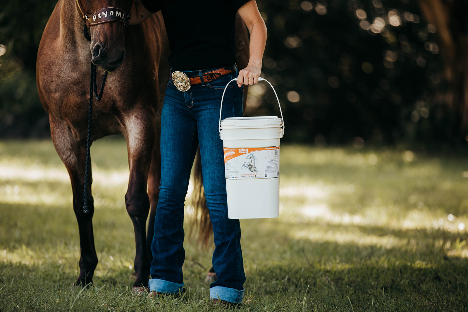foundation-daily-detox-horse-supplement