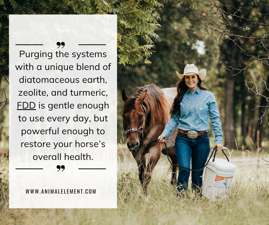 woman-leading-horse-through-grassy-field-carrying-a-bucket-of-fdd-with-information-about-how-it-detoxes-the-body