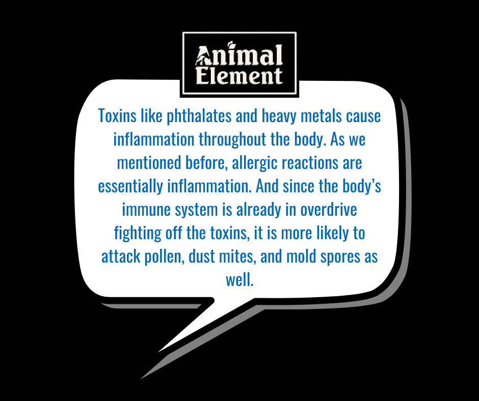white-speech-bubble-on-black-background-with-information-about-toxin-overload-and-horse-allergies