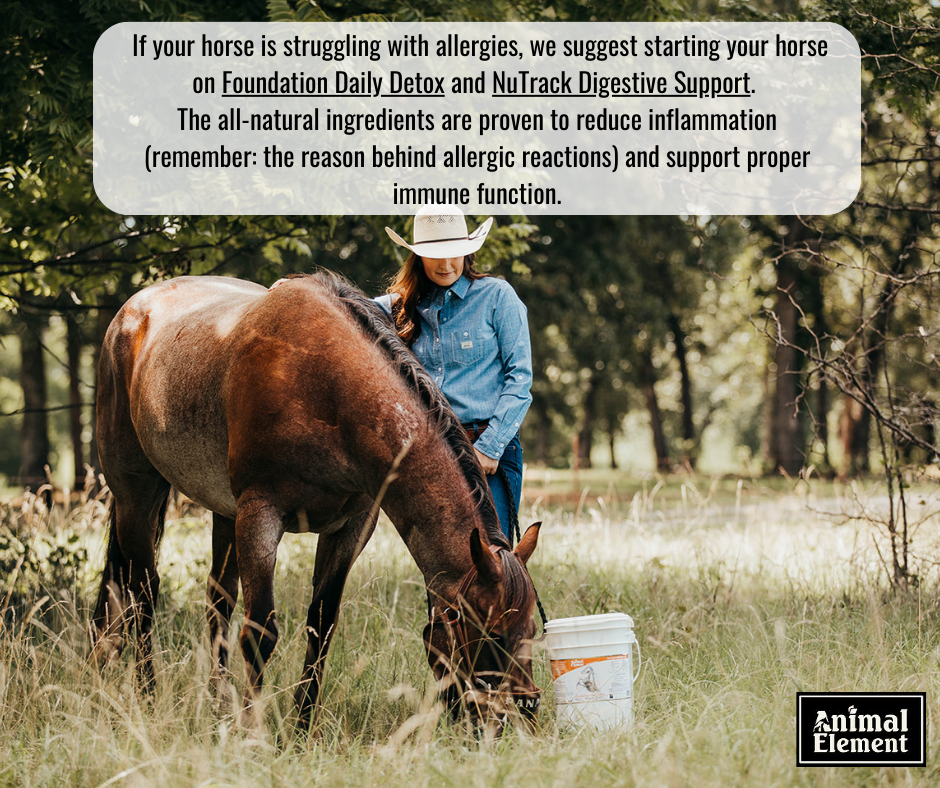 allie-armstrong-standing-with-panama-and-a-bucket-of-fdd-in-a-field-talking-about-detoxing-helping-allergy-symptoms
