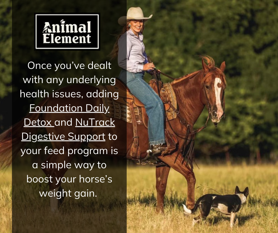 smiling-blond-woman-on-horse-back-with-informational-text-about-how-animal-element-can-be-used-as-horse-supplements-for-weight-gain