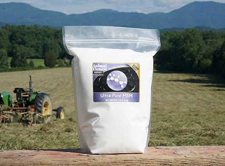 MSM for horses